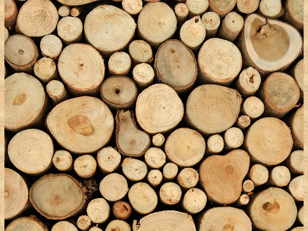 Holzstamm kaufen bei OBI